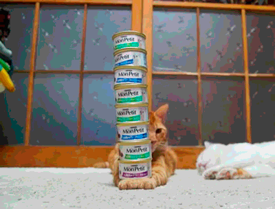 tumblr_inline_mi140eTxmA1qz4rgp