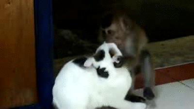 гифки-любовь-360679