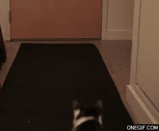 1360908586_797393266