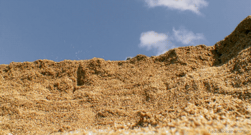 omg_thats_not_right_01