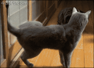 1360820277_yapfiles.ru