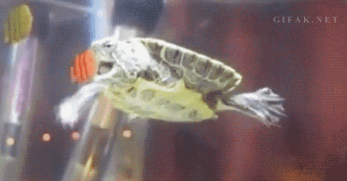 1361444263_532108144