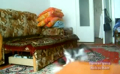 1361544827_1068779749