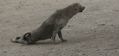 1361602177_1581864808