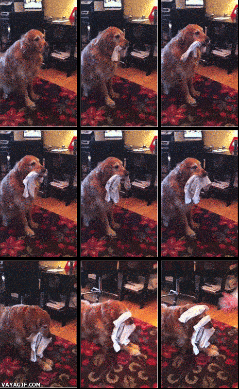 daily_gifdump_314_14