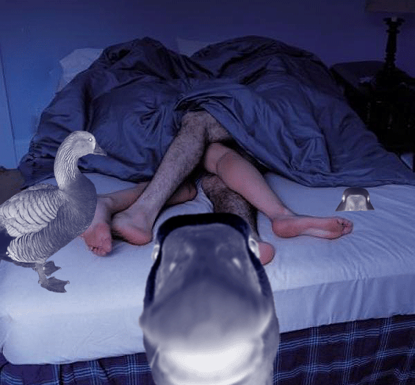 gooseghost