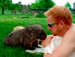 1362034337_1033347826