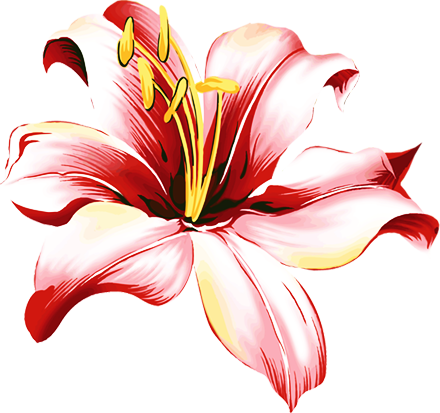 e46a4ee53764882e7dcfe59da25