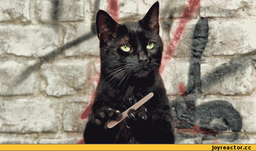 dekiezbpavdazhizni350365