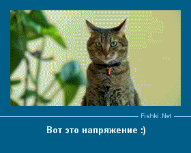 Вот это напряжение