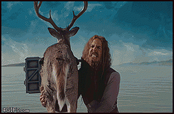 гифки-олень