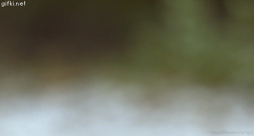 1362207156_1567847932