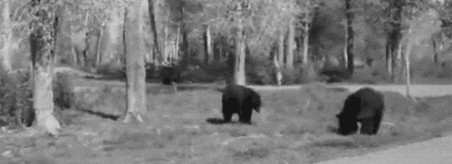 мастер бесконтактного боя