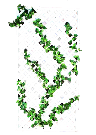 whitelatticewithgreen