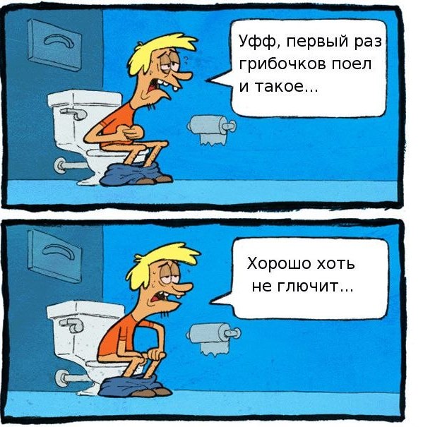 Грибники, будьте бдительны!2