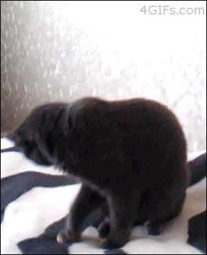 1362394541_632577603