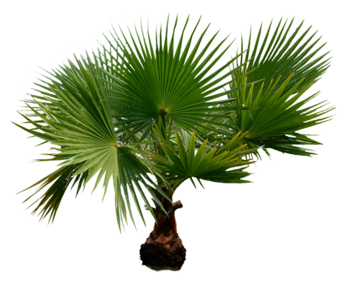 0_7fcc1_e053ec6a_L_yapfiles.ru