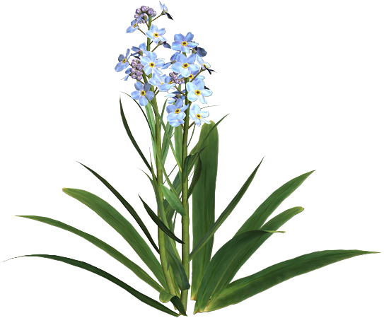 3b35132f369c_yapfiles.ru