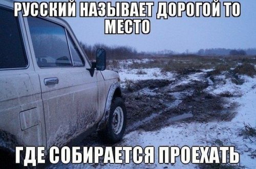 авто прикол