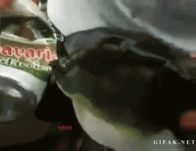 1363153915_1952315692