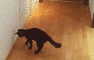 1363247379_1489777932