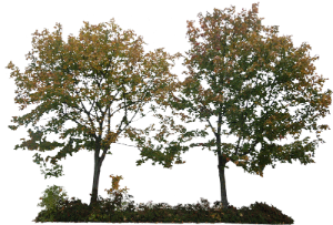 0_547fb_7fd72a19_XL