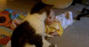 1363507605_1633198141