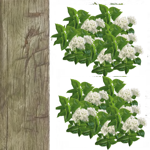 bonsia_tree1