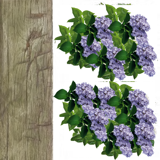 bonsia_tree2