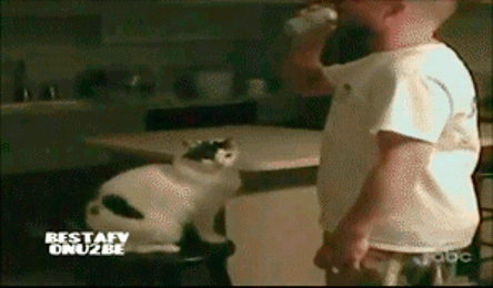 1363581380_311777961