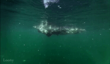 1363580646_1101264182