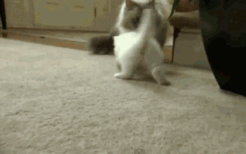 1363687352_1661059028