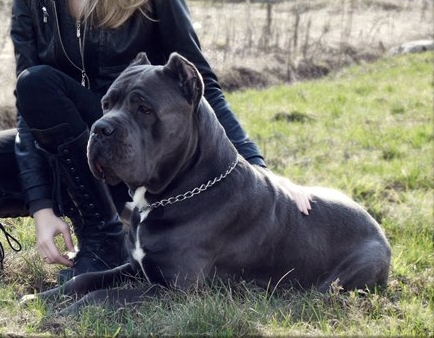 Безымянный