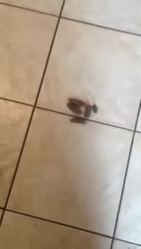 1363843201_1546303428