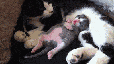 tumblr_mk2yckY4yz1rw1wnno1_400