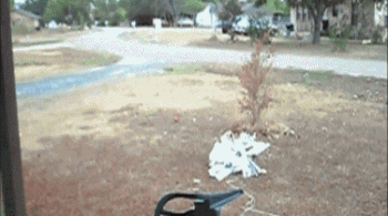 1364190064_1656618050