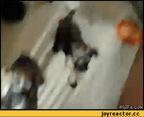 %D0%B3%D0%B8%D1%84%D0%BA%D0%B8-%D1%89%D0%B5%D0%BD%D0%BA%D0%B8-620938[1]