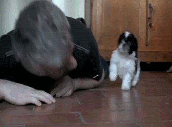 1364449940_701241307