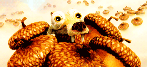 белка в шоке