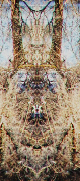 Untitled-4