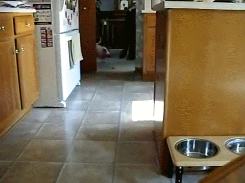 1364791249_1914097073