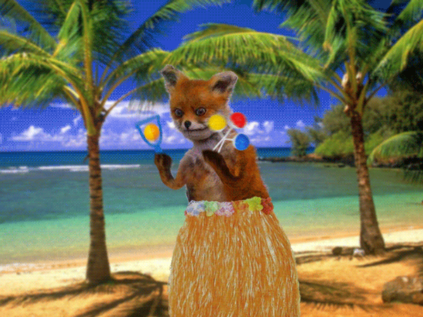 лиса-в-юбке