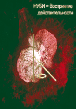 нуби-восприятие действительности