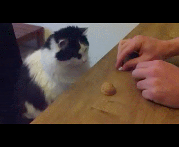 Kruchu_Verchu_-_Zaputat_Khochu_33_1