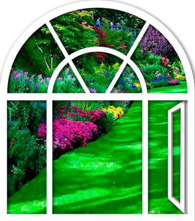 363f6dc470f40ea793a62a3f9bcab4d6