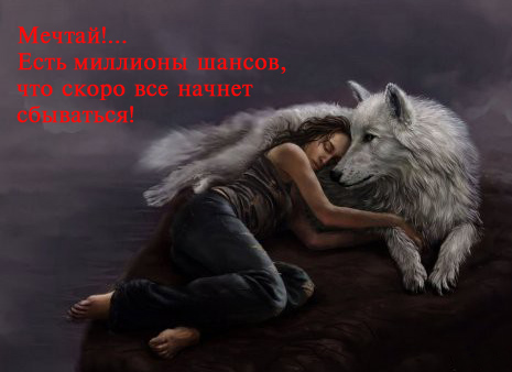 1322946335-1копирование