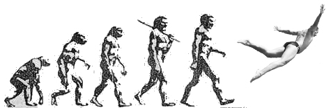 Эволюция copy