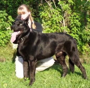 масечка на даче