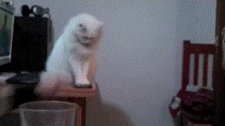 1365615092_1133244513