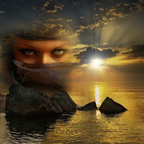 img_d2bc3c2c919f476e3288298019d633c7